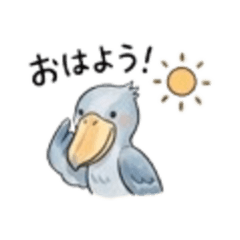 ハシビロコウ　日常使い