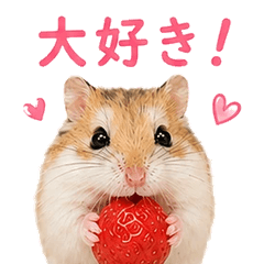 I LOVE CHIMA
