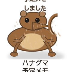 ハナグマ予定メモ