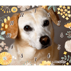 犬スタンプ爆誕した