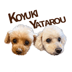 Koyuki&Yatarou Sticker