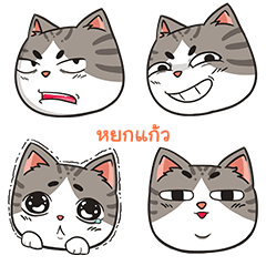 YOKKAO trollcat emoji