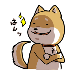 bee Taro and sometimes nyanko