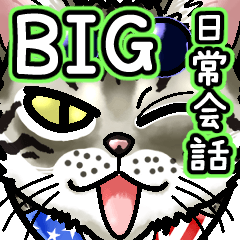 エジプシャンマウな猫④～☆日常会話＆BIG