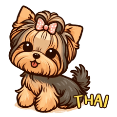 Cute Yorkshire Terrier dog THAI