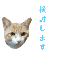 茶トラ 猫のスタンプ2