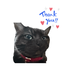 ぴーちゃんスタンプ2025 2