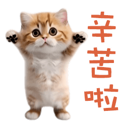 踊る！ダンス猫（繁体字）