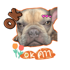 Cute cute_20250524220236