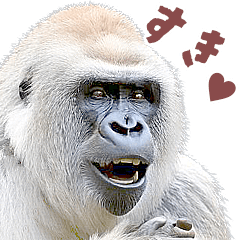 ごりごりゴリラ★好きしか勝たん！白