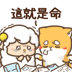 Orange3-Workplace meetings