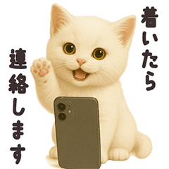 おでかけ・待ち合わせに便利 白猫スタンプ