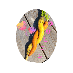 野菜のお友達 YASAINO OTOMODACHI