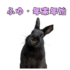 毎年使える！冬・年末年始【黒うさぎ】