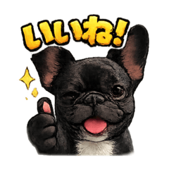 フレブル「サクラ」気持ちが伝わるスタンプ