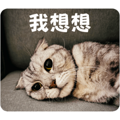 My name is Huang Xiao-Ji