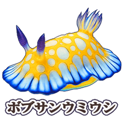 海の妖精★ウミウシ【第一弾_名前】