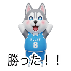 ハスキーの熱血バスケ応援