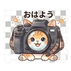Camera Nyan - Cat Photographer Stickers