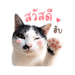 J.K.Y_20260510135902