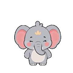 はすのこゾウ ブア