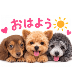 ginchomu
