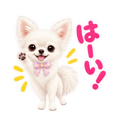 メグチワ 第2弾