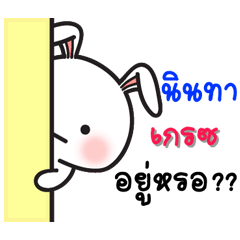 Grace - The rabbit sticker