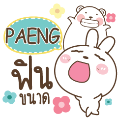 PAENG Bear and Rabbit joker_N e