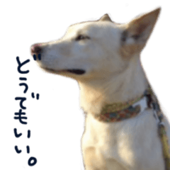 sakusaku(犬)スタンプ