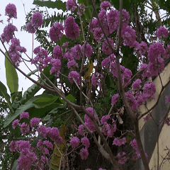 The natural beauty of dusk