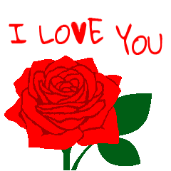 英語/「愛してる」赤い薔薇