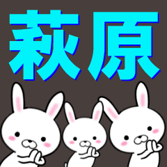 超★萩原(はぎわら・はぎはら)なウサギ