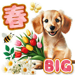 癒しダックスの春のあいさつ【BIG】