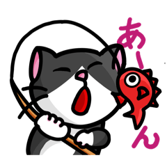 はちわれ猫の毎日