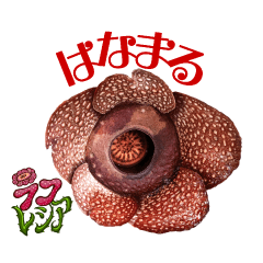 イッテQ！珍獣スタンプ ～フィリピン編～