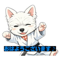 ましろちゃん　ブラジリアン柔術の巻