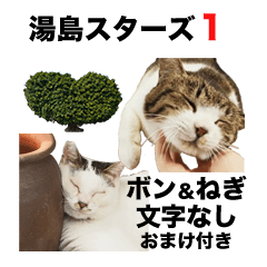 湯島スターズ１＠熊日猫島（文字なし）