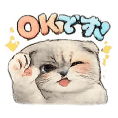 おてんばU'Iちゃんスコティッシュ