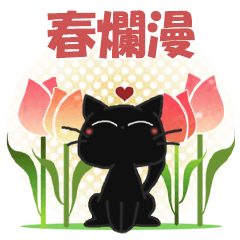 黒ねこの春爛漫便り