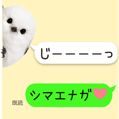 シマエナガの吹き出しスタンプ