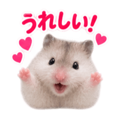 ハムスターそらのスタンプ