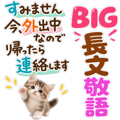 BIG可愛い猫❀使える長文敬語 ねこ にゃんこ