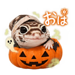 ニシアフおすものゾンビなハロウィン
