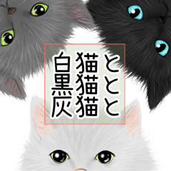 白猫と黒猫と灰猫と