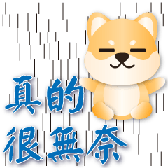 Q Shiba --Practical greeting every day