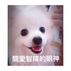 Mollys first Sticker