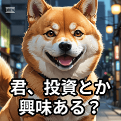 ドックフードは見た目より味が薄い