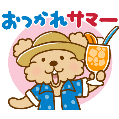 動け！トイプーのぷう太郎の夏
