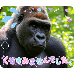 Gorilla/ごりら